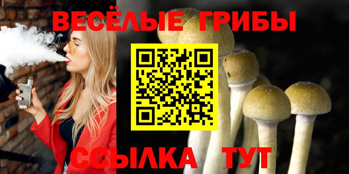 Саров  Псилоцибиновые грибы ЛСД  Галлюциногенные грибы мицелий  где продают   Вход с VPN 